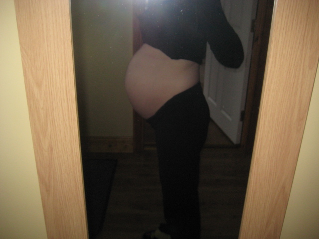 31t 1d